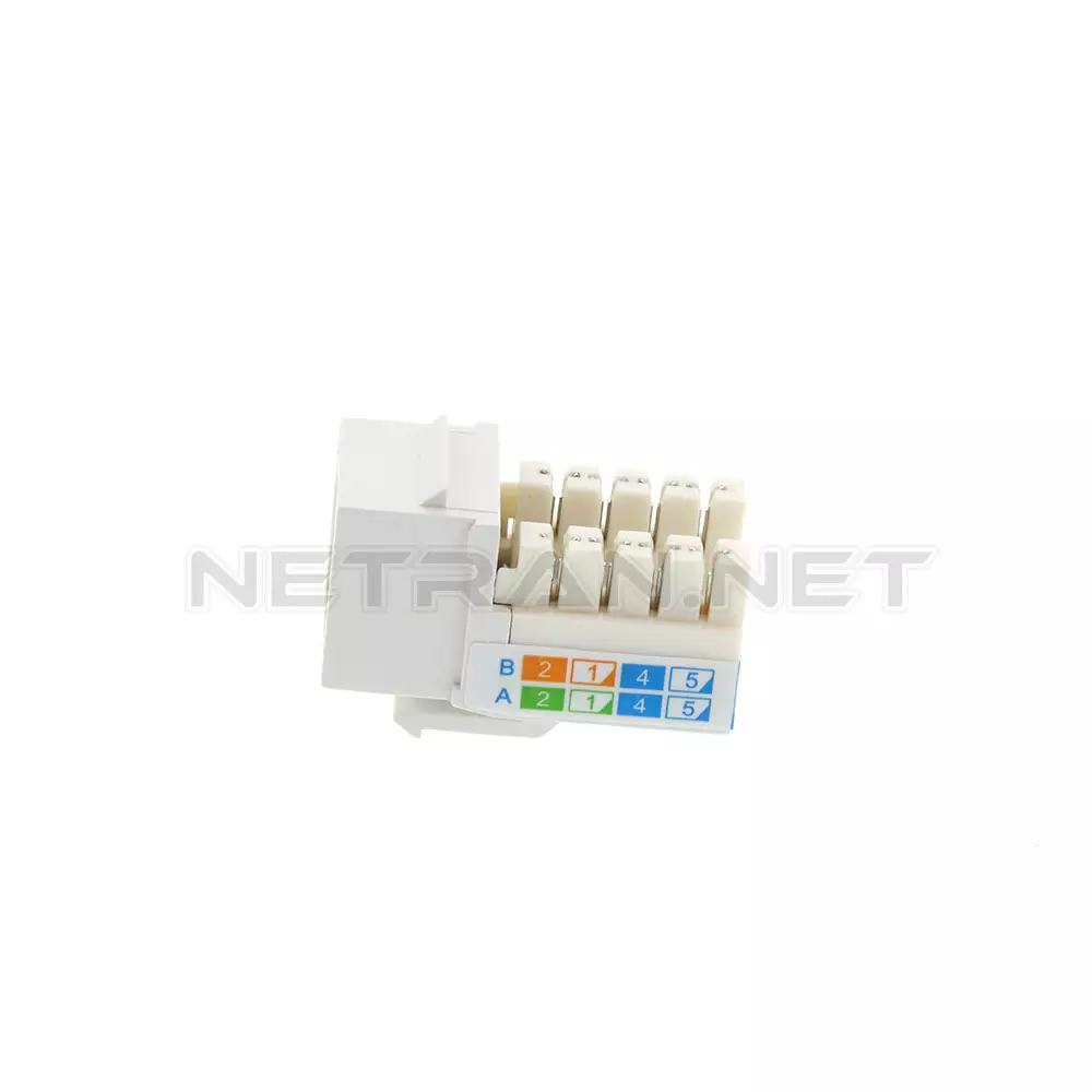 لیست قیمت و خرید کیستون شبکه البرز Cat6 UTP | نت ران